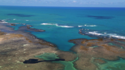 A general view of an oil spill on Peroba beach in Maragogi, Alagoas state, Brazil October 17, 2019. REUTERS/Diego Nigro