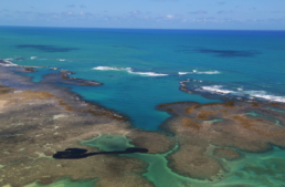 A general view of an oil spill on Peroba beach in Maragogi, Alagoas state, Brazil October 17, 2019. REUTERS/Diego Nigro